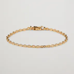 Anker Chain Bracelet Gold