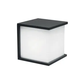 Applique Murale Exterieur Torsten Graphite 1x60W E27