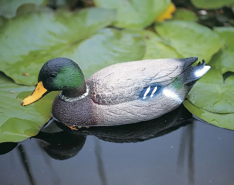Canard sauvage mâle figure de proue 41 cm Ubbink