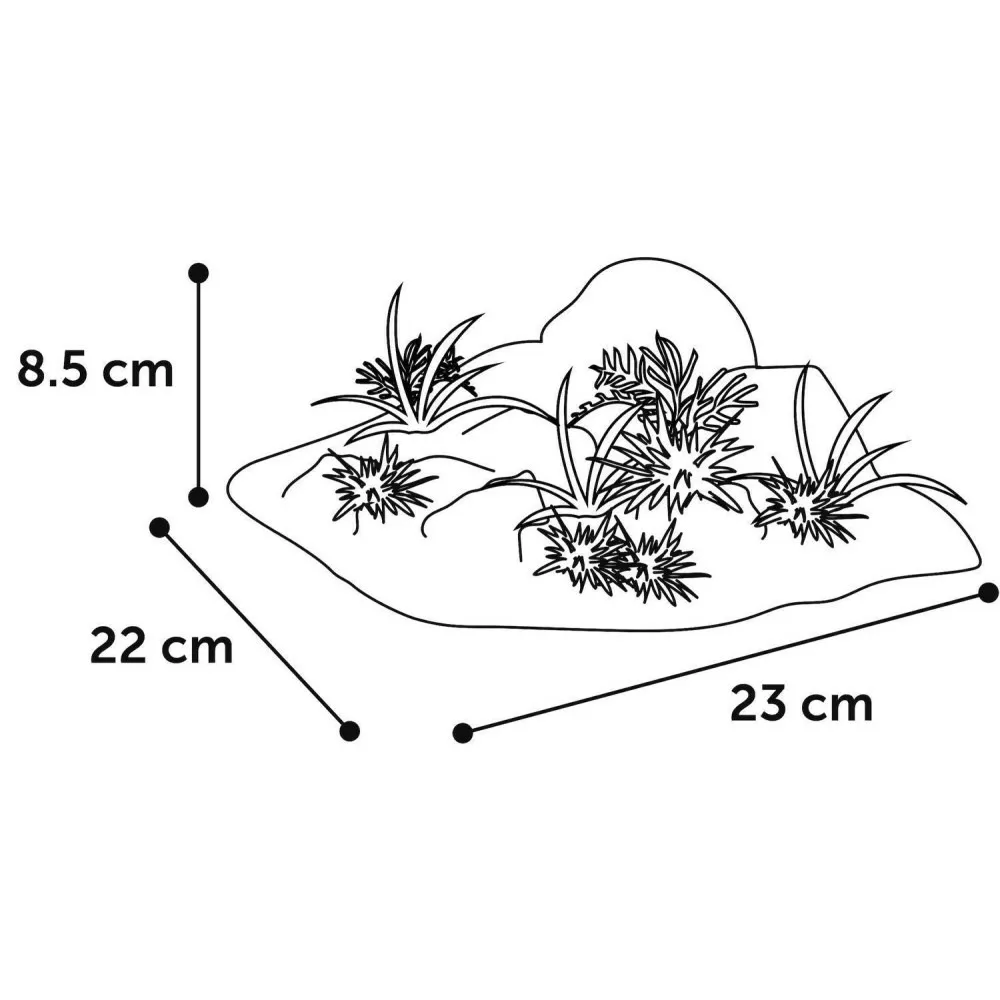 Décoration angle, roche + plante, 23 x 22 x 8,5 cm, aquarium.