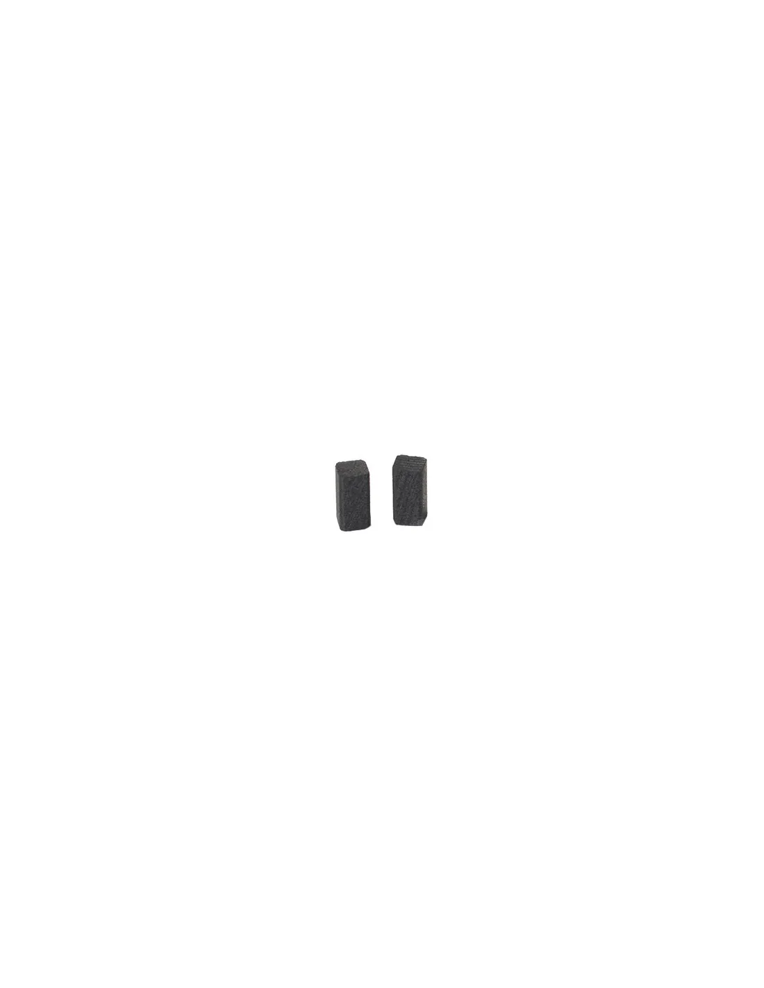 Jeu de 2 charbons adaptable pour BLACK & DECKER. Dimensions:5 x 5 x 10mm. - NCE0227