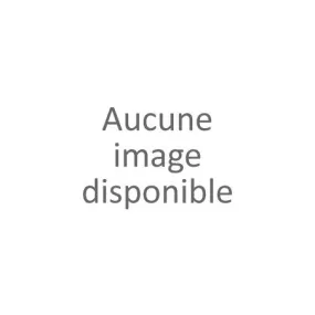 Sandale gold fantaisie femme (36-41)